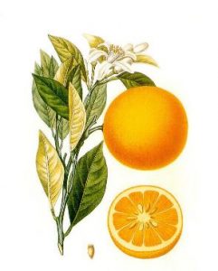 Aceite de naranja usos