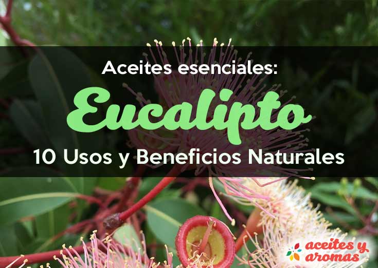 Aceite-esencial-de-eucalipto-usos