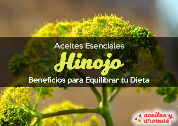 Aceite de Hinojo: Propiedades y Beneficios