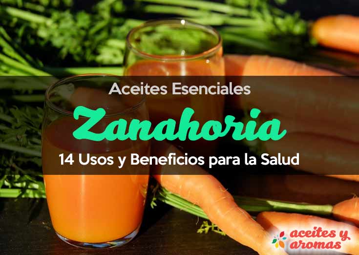 Aceite Esencial de Zanahoria: Usos y Beneficios
